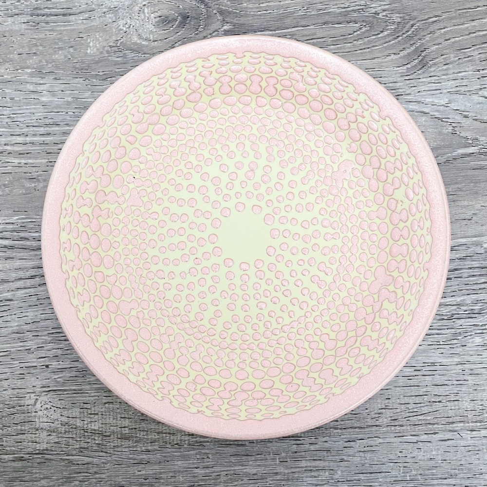Anthropologie  dish plates